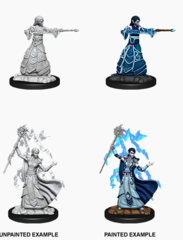 Elf Wizard - Female WZK90061 - D&D Nolzur's Marvelous Miniatures